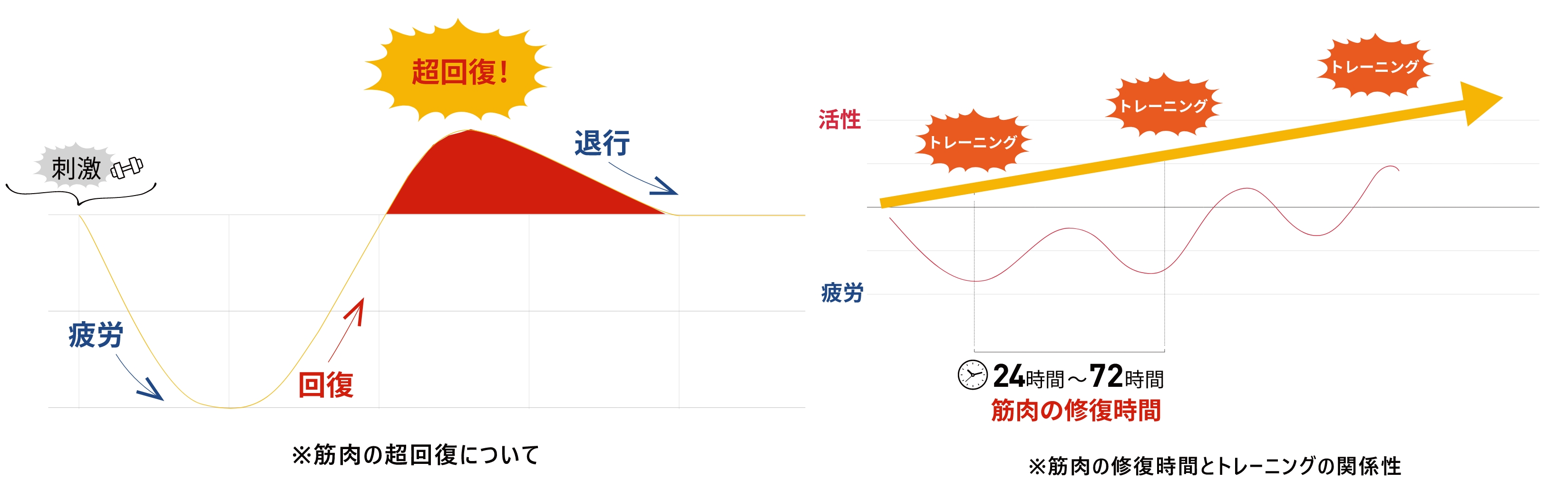 理想的なトレーニングパターン