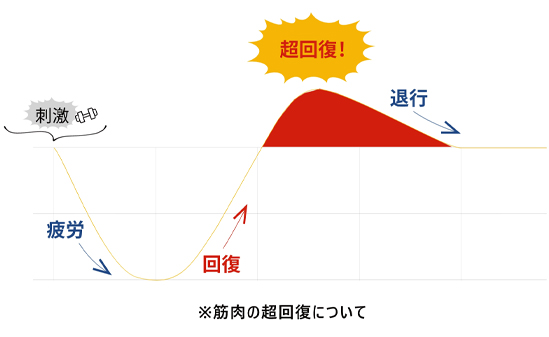 理想的なトレーニングパターン