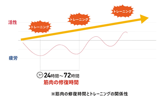 理想的なトレーニングパターン